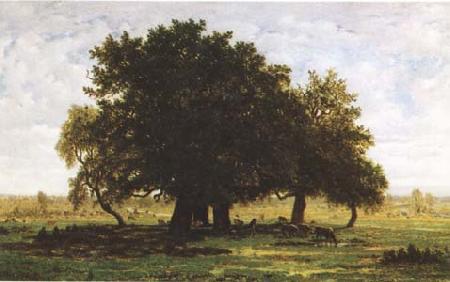 Theodore Rousseau Oak Trees near Apremont (mk09) oil painting picture